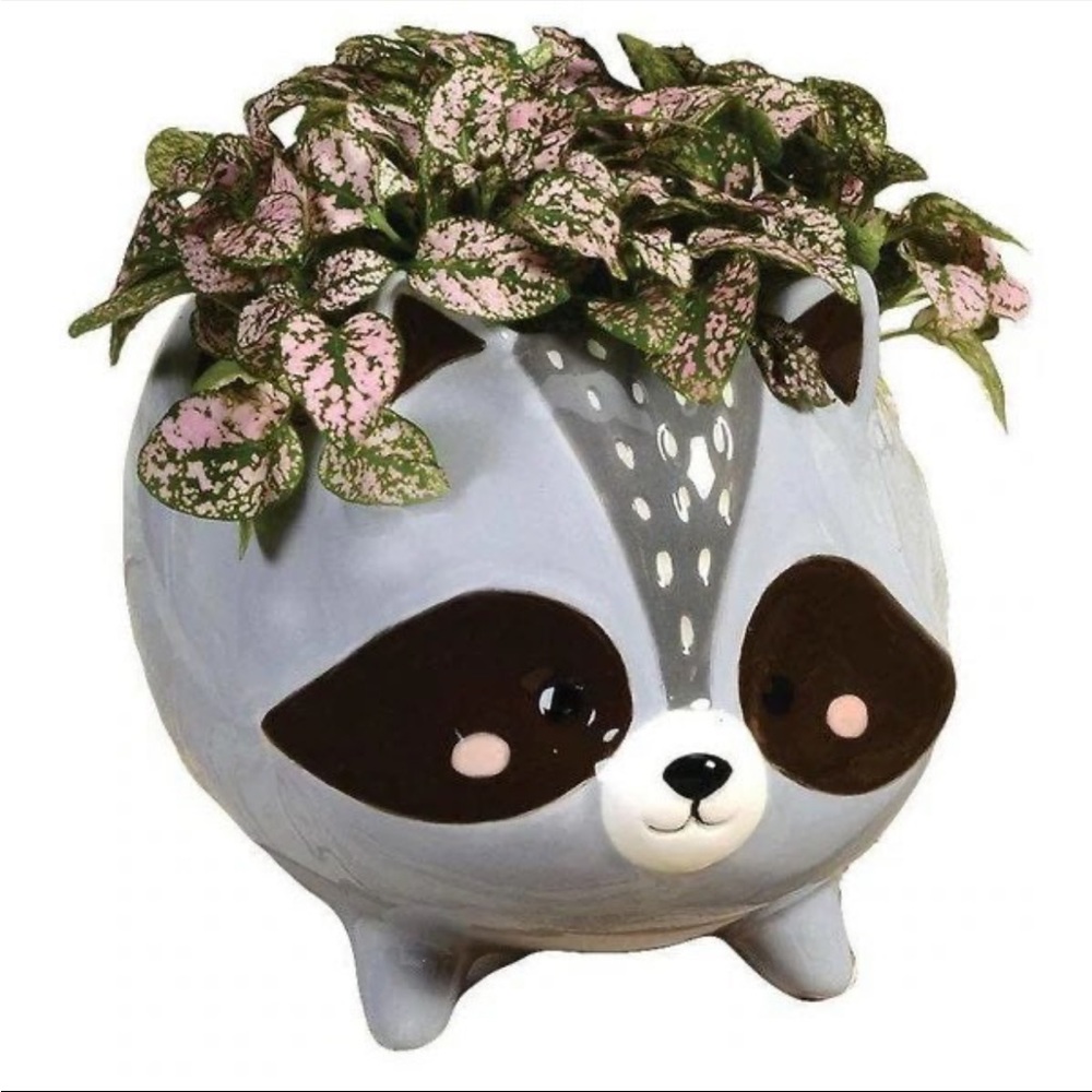 Raccoon Plant Pot